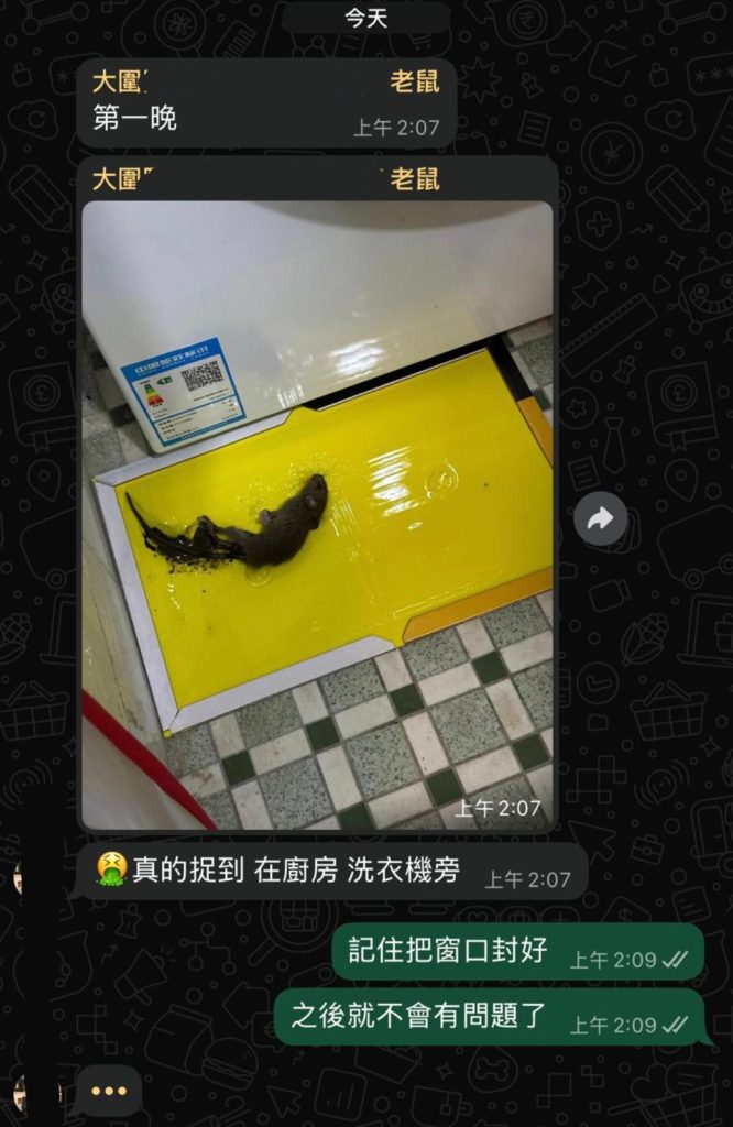 滅老鼠｜滅靈滅蟲24小時香港全區上門服務