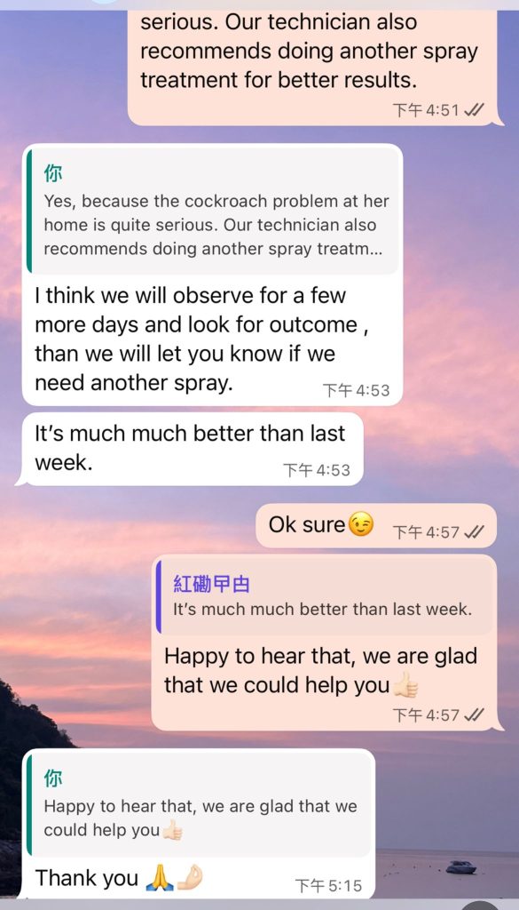 滅蟑螂｜滅靈滅蟲24小時香港全區上門服務